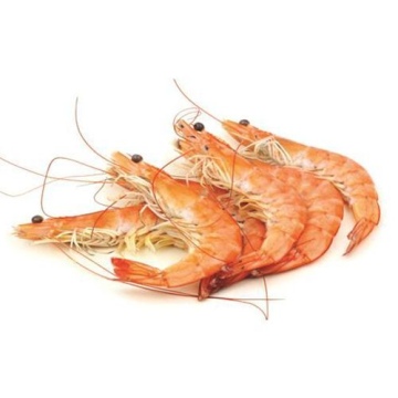 JUMBO KARİDES 16-20