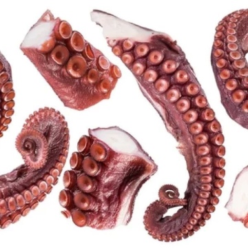 AHTAPOT PİŞMİŞ KOL