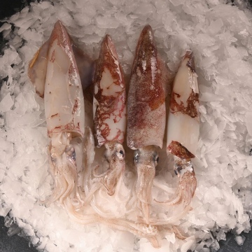 NATUREL BABY KALAMAR